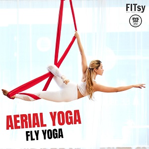 Special Price Products. - FITsy - Boutique Fitness Studio - Best Aerial Fitness  Studios - Aerial Yoga, Kpop Workout, Pilates and Yoga, Aerial Hoop, Aerial  Pilates, Dance, Pole Dance, Aerial Dance
