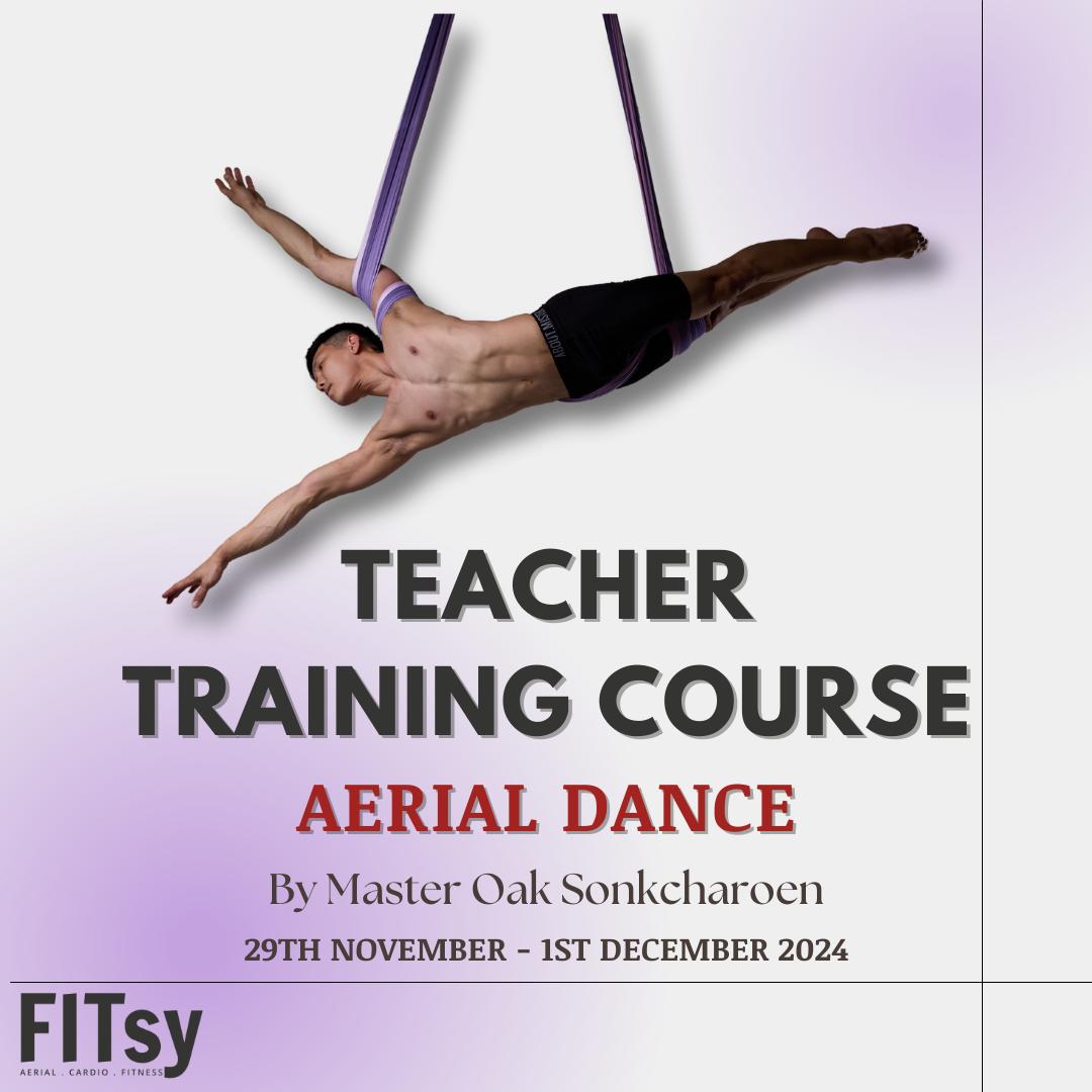 Aerial Dance/Spinning Teacher Training Course - Nov/Dec 2024 - Super Early Bird