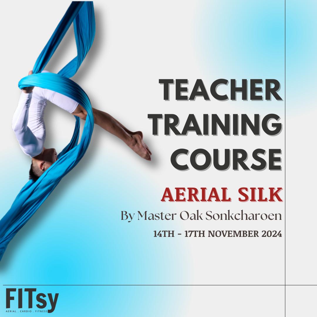Aerial Silk Teacher Training Course - Nov 2024 - Super Early Bird