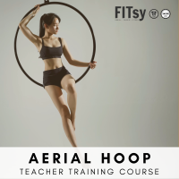 Aerial Hoop / Lyra Teacher Training Course - 30 hours