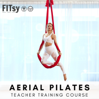 Aerial Pilates Course - 30 hours