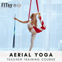 Aerial Yoga / Artistic Aerial Hammock Course - 30 hours