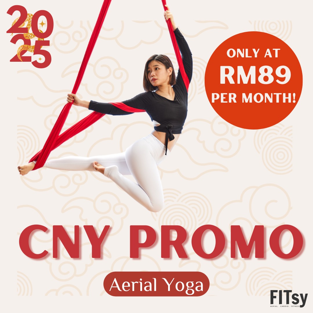 12 Passes for Aerial - Monthly Renewal