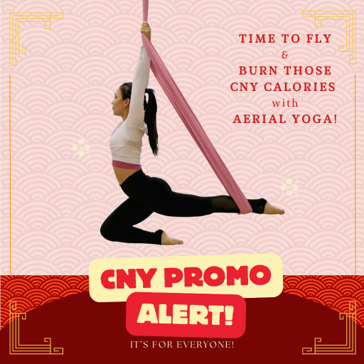 10 <strong>FREE</strong> 5 Passes for Aerial - CNY2025