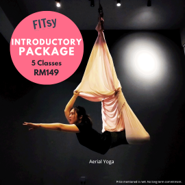 5 Passes for Aerial - Introductory Package