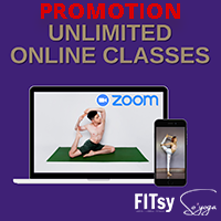 Online Class - 2 Month Unlimited - Promotion